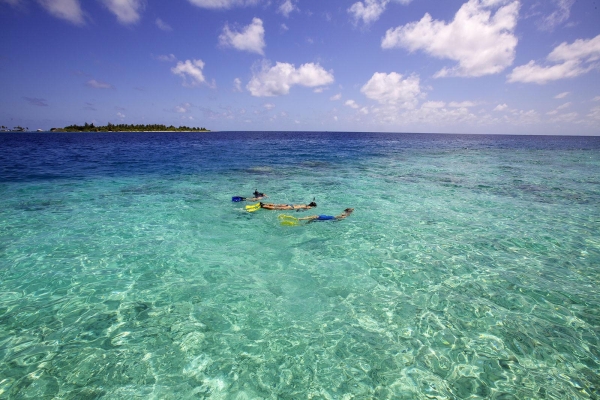 Finding Nemo Maldives Snorkeling Trip